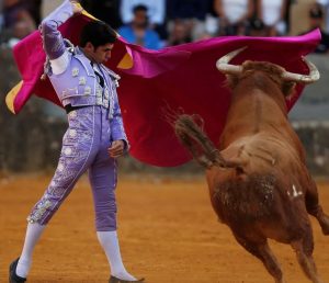 bullfighting